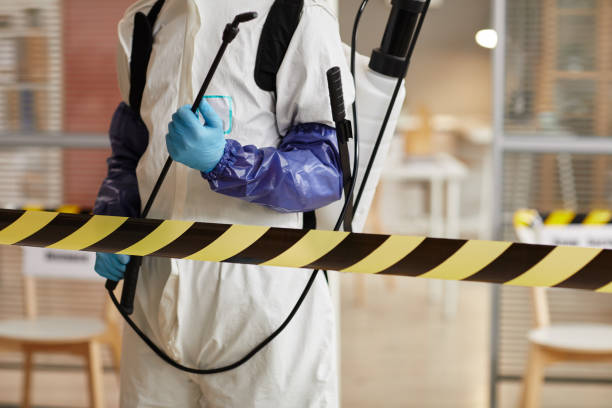 Professional Odor Removal technician working in Danville, IL